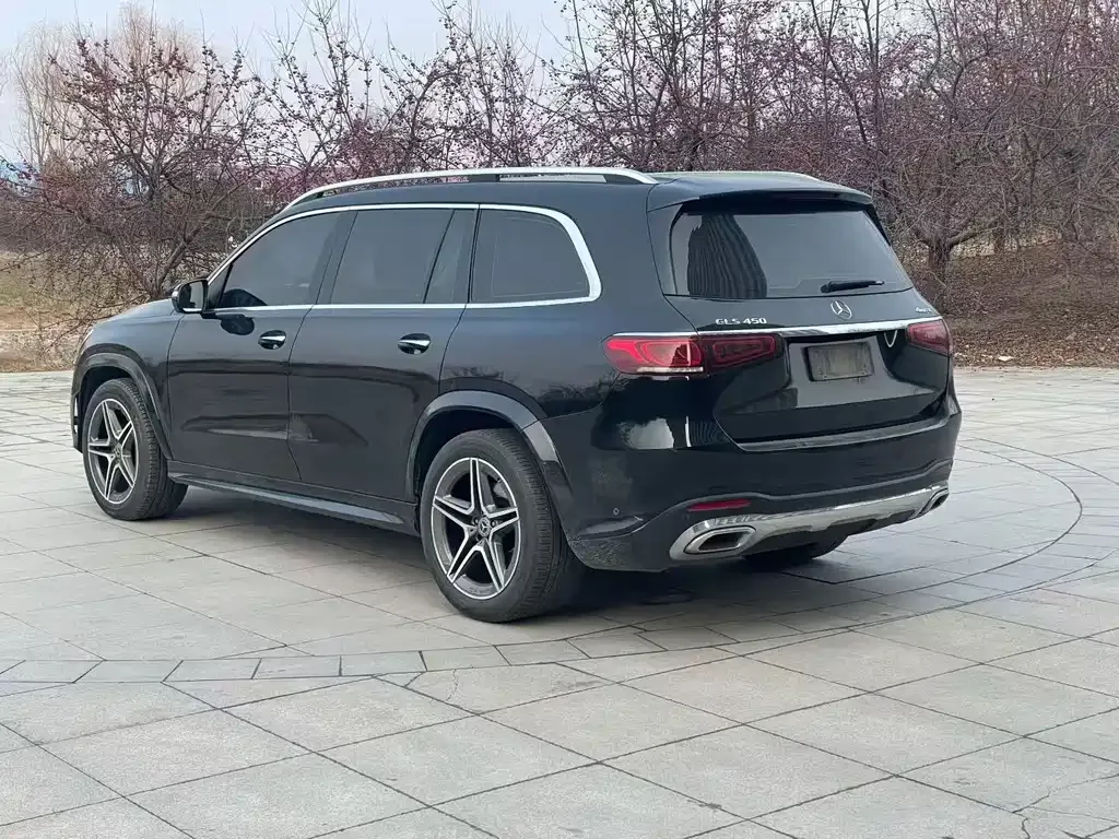Mercedes-Benz GLS — фото 9