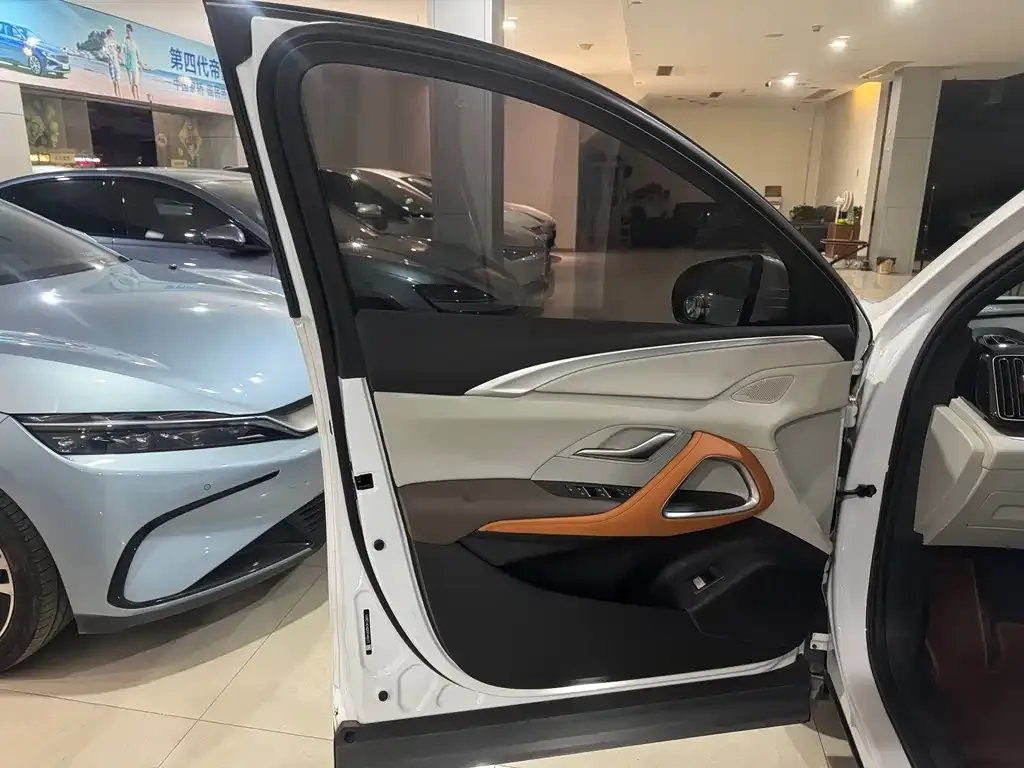 BYD Pro New Energy — фото 10