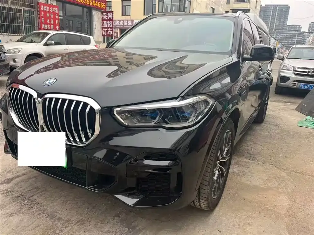 BMW X5 New Energy (Import) — фото 1