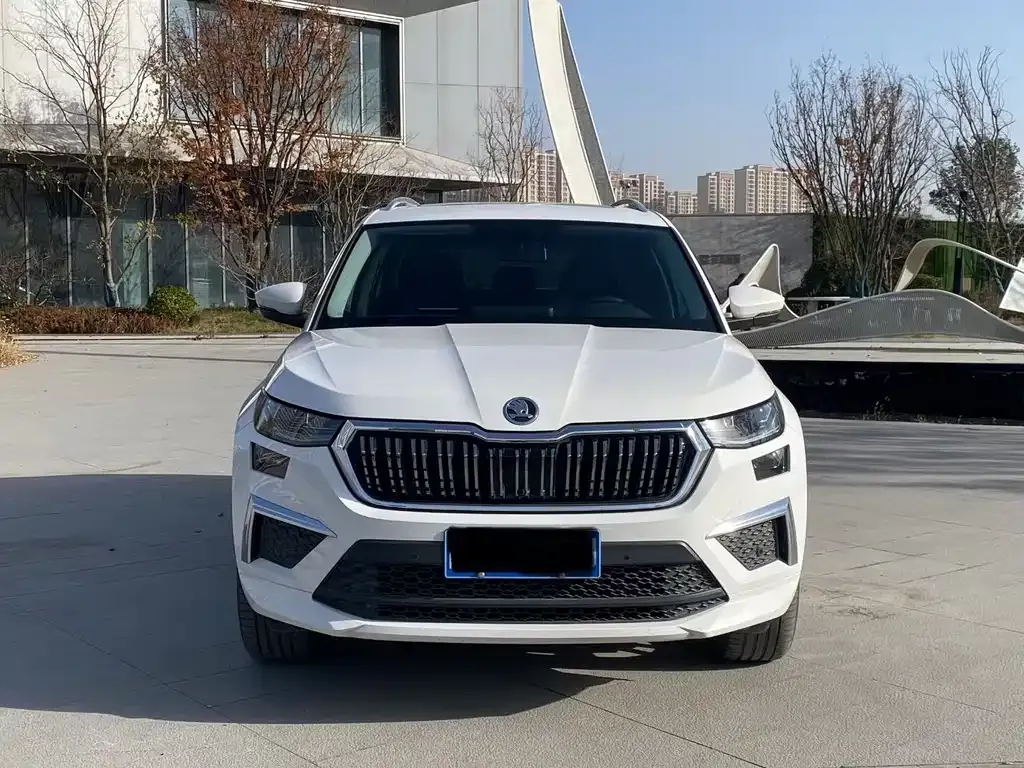 Skoda Kodiaq — фото 9