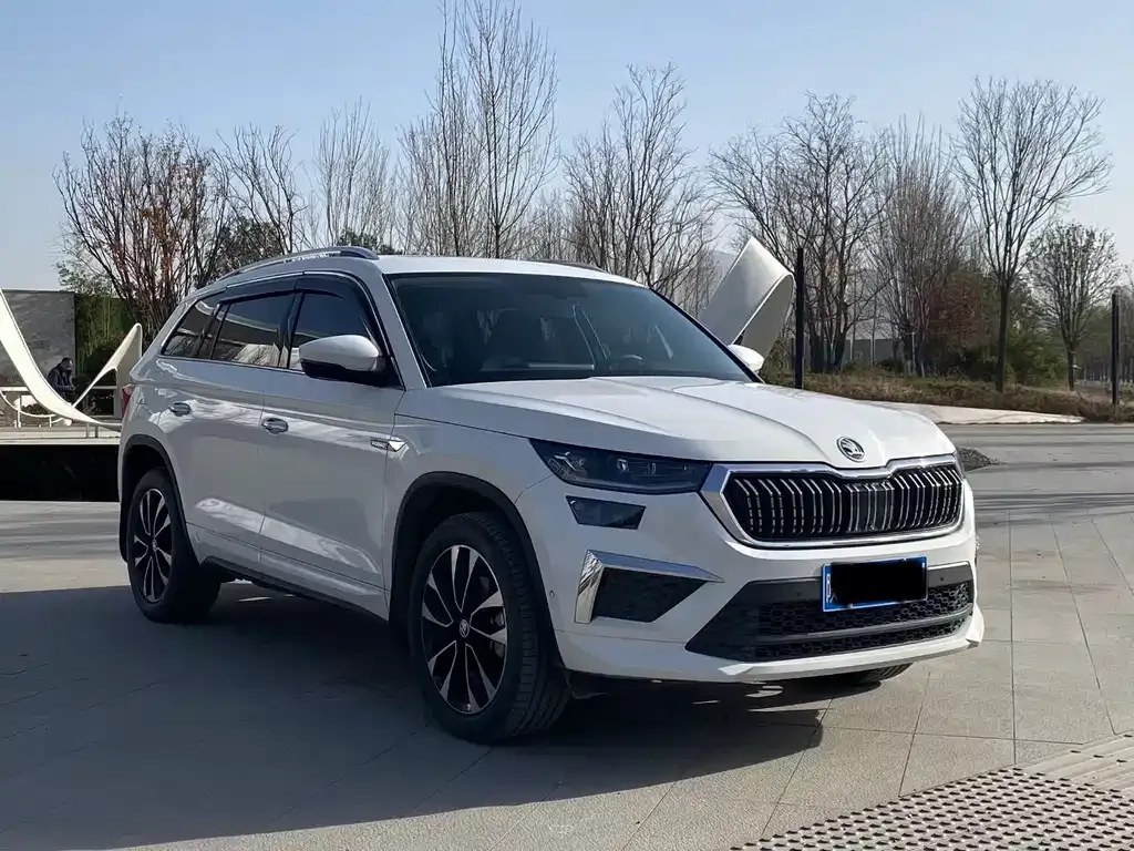 Skoda Kodiaq — фото 7