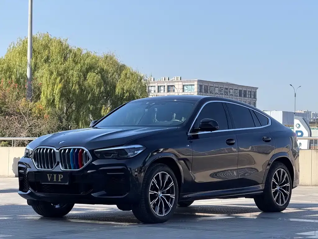 BMW X6 — фото 1