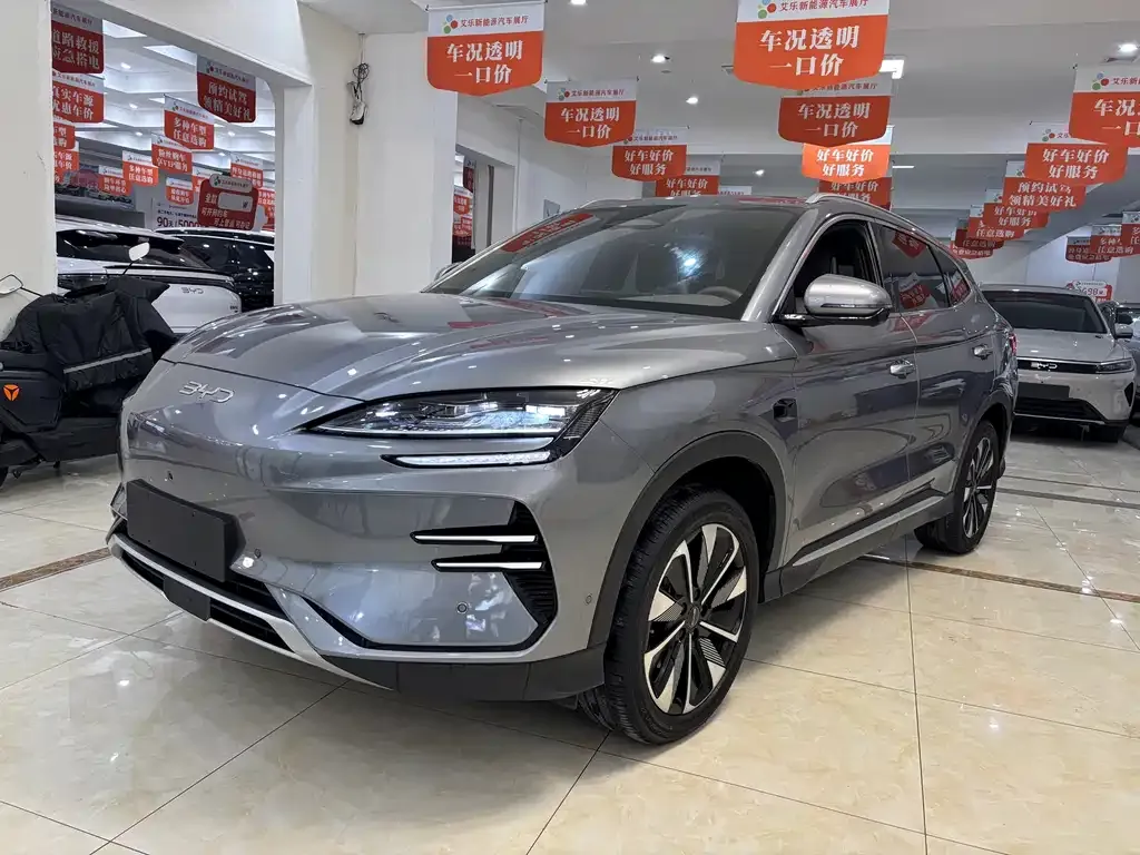BYD PLUS New Energy — фото 1