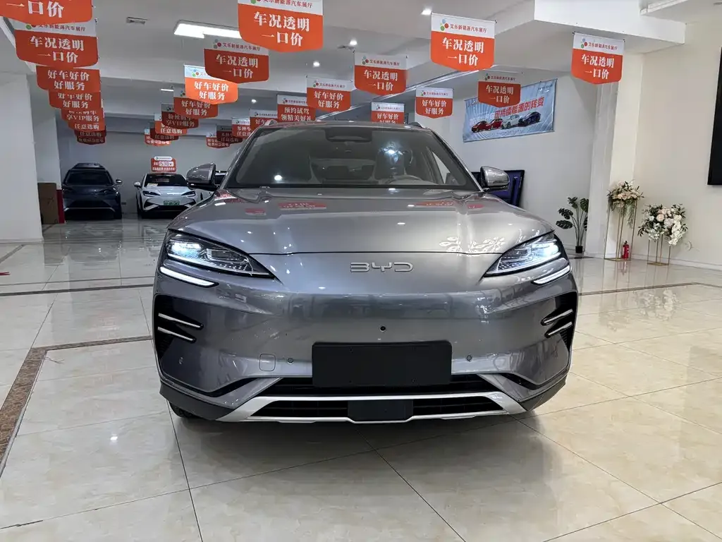 BYD PLUS New Energy — фото 9