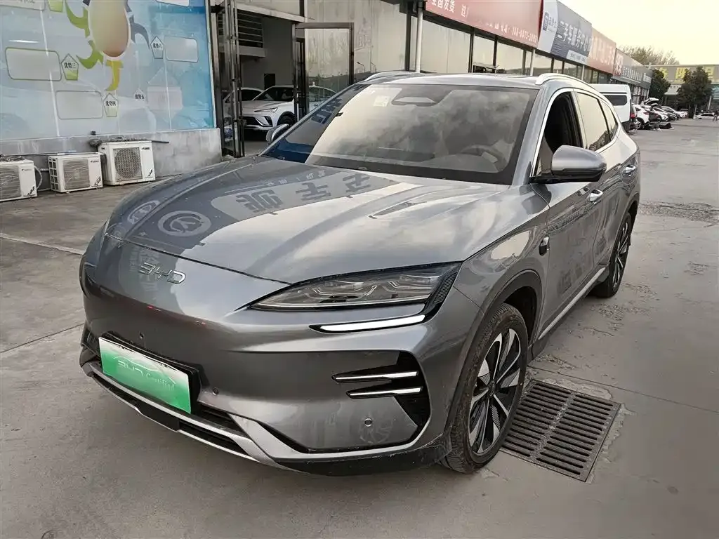 BYD PLUS New Energy — фото 1