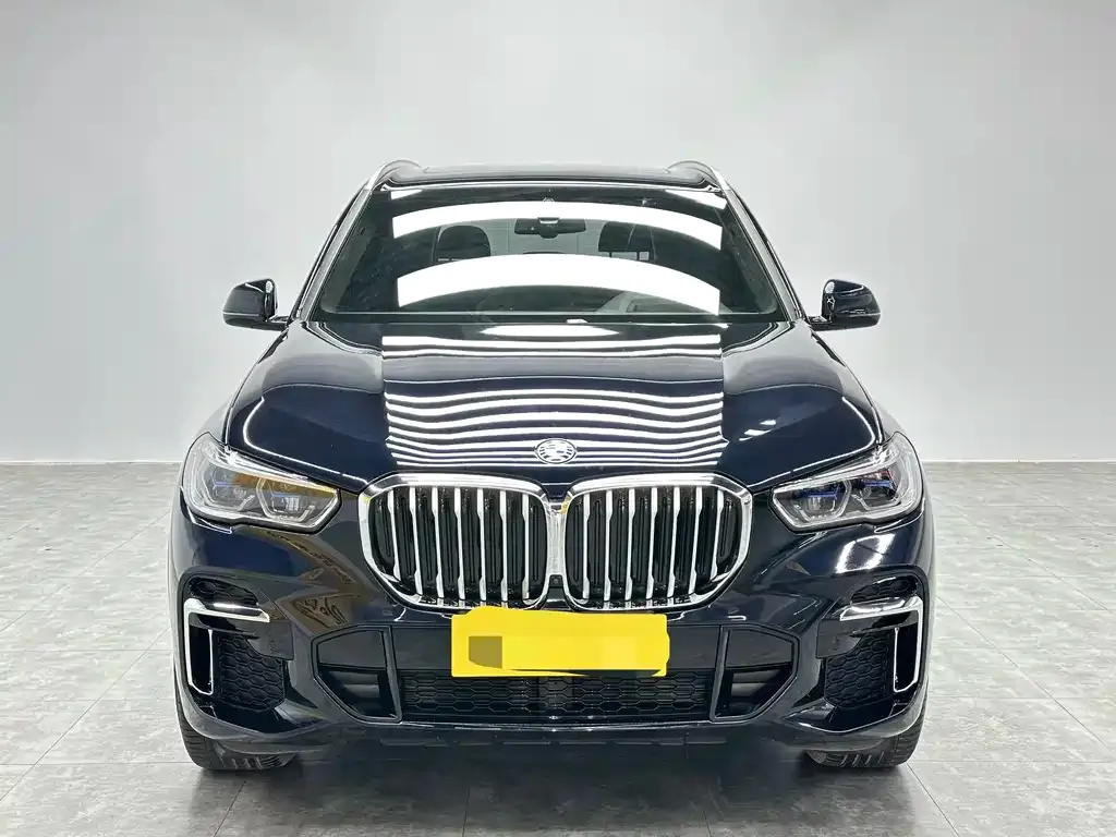 BMW X5 — фото 8