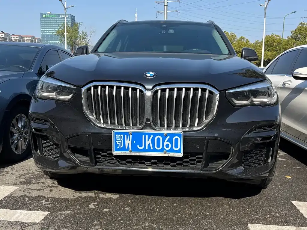 BMW X5 (Import) — фото 10