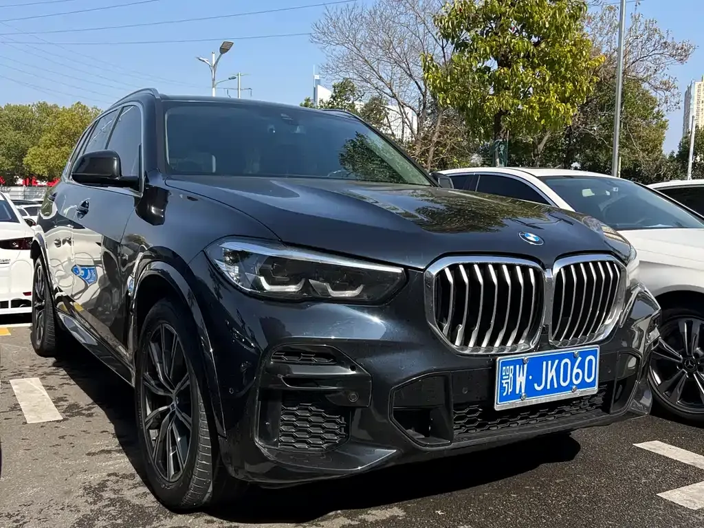 BMW X5 (Import) — фото 9