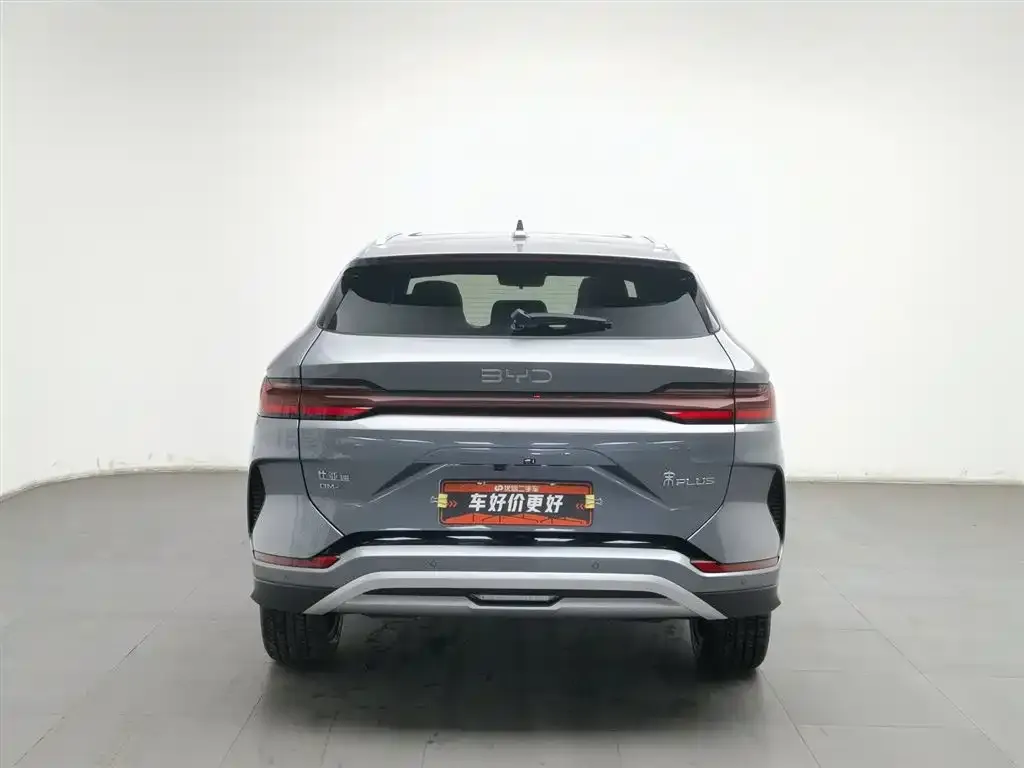 BYD PLUS New Energy — фото 2