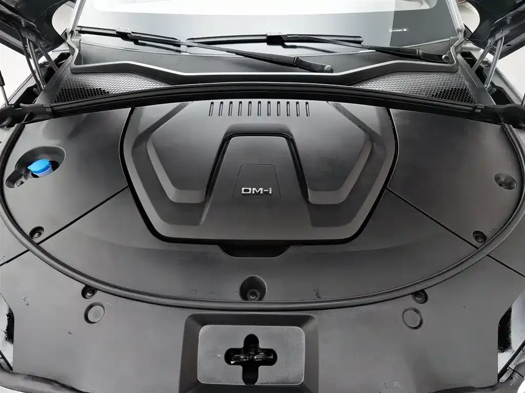 BYD PLUS New Energy — фото 9