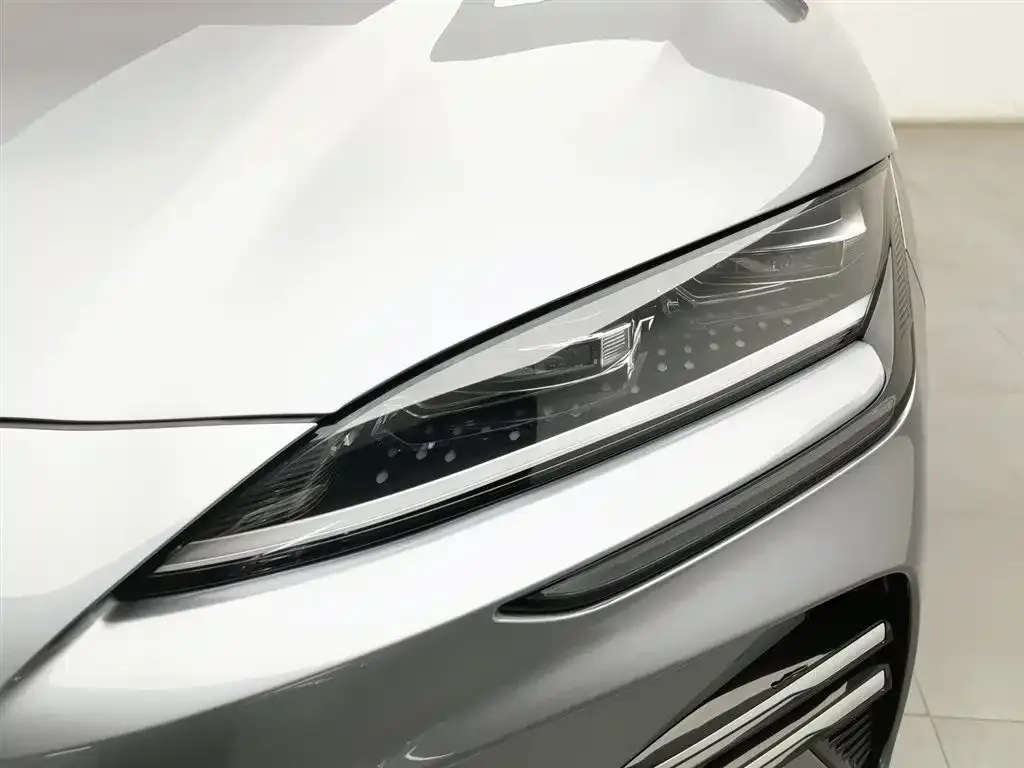 BYD PLUS New Energy — фото 3
