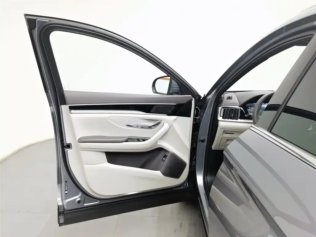 BYD PLUS New Energy — фото 4