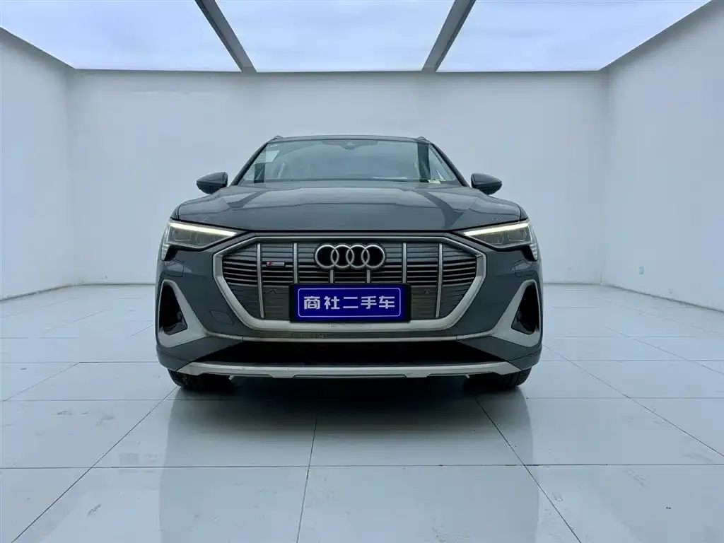 Audi e-tron — фото 5