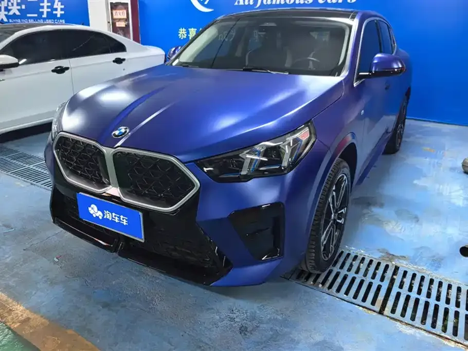 BMW X2 (Import) — фото 1