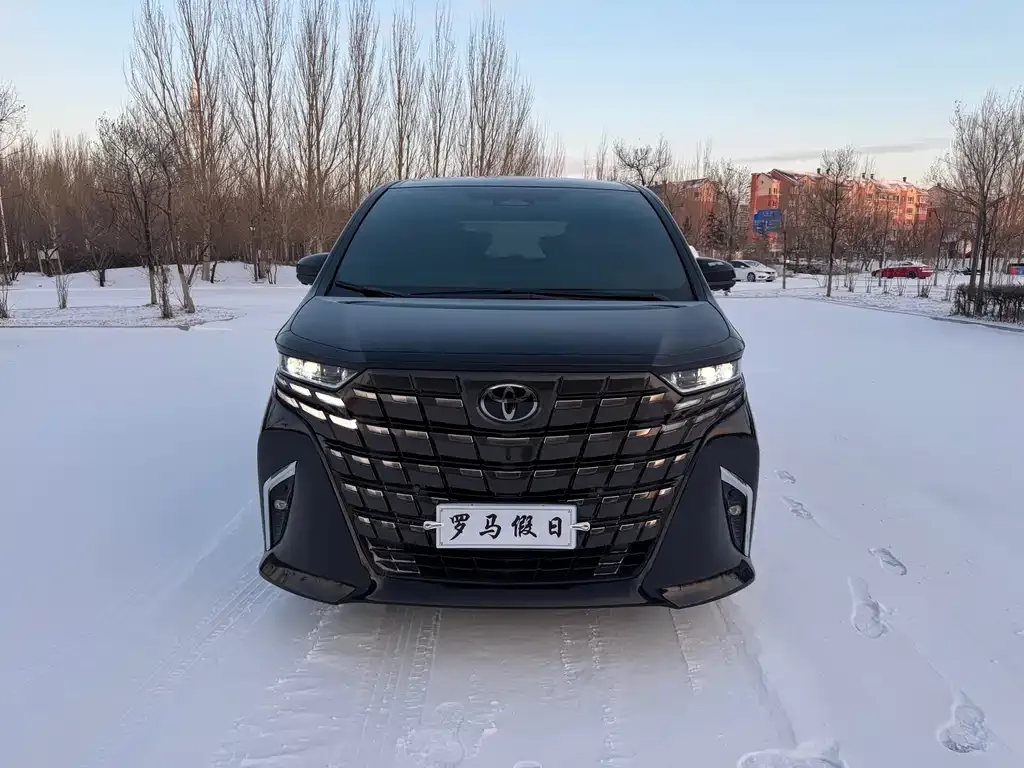 Toyota Alphard — фото 10