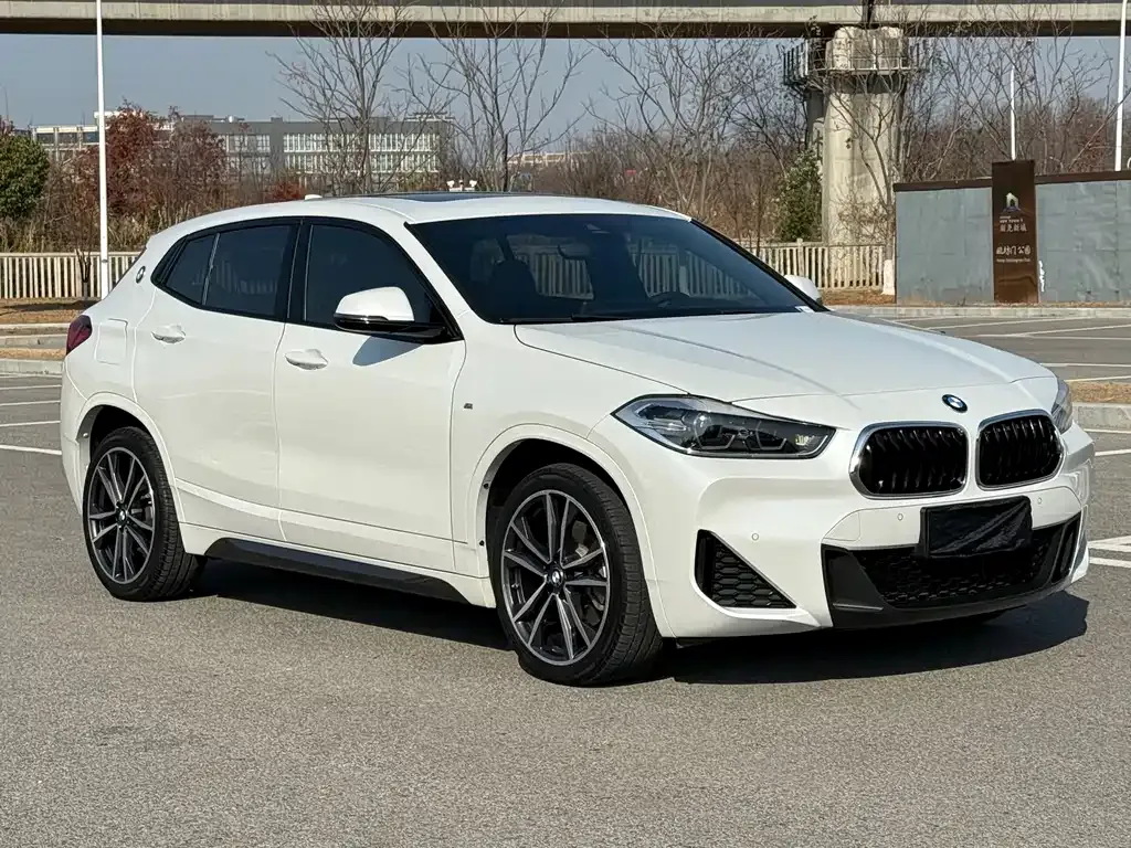 BMW X2 (Import) — фото 10
