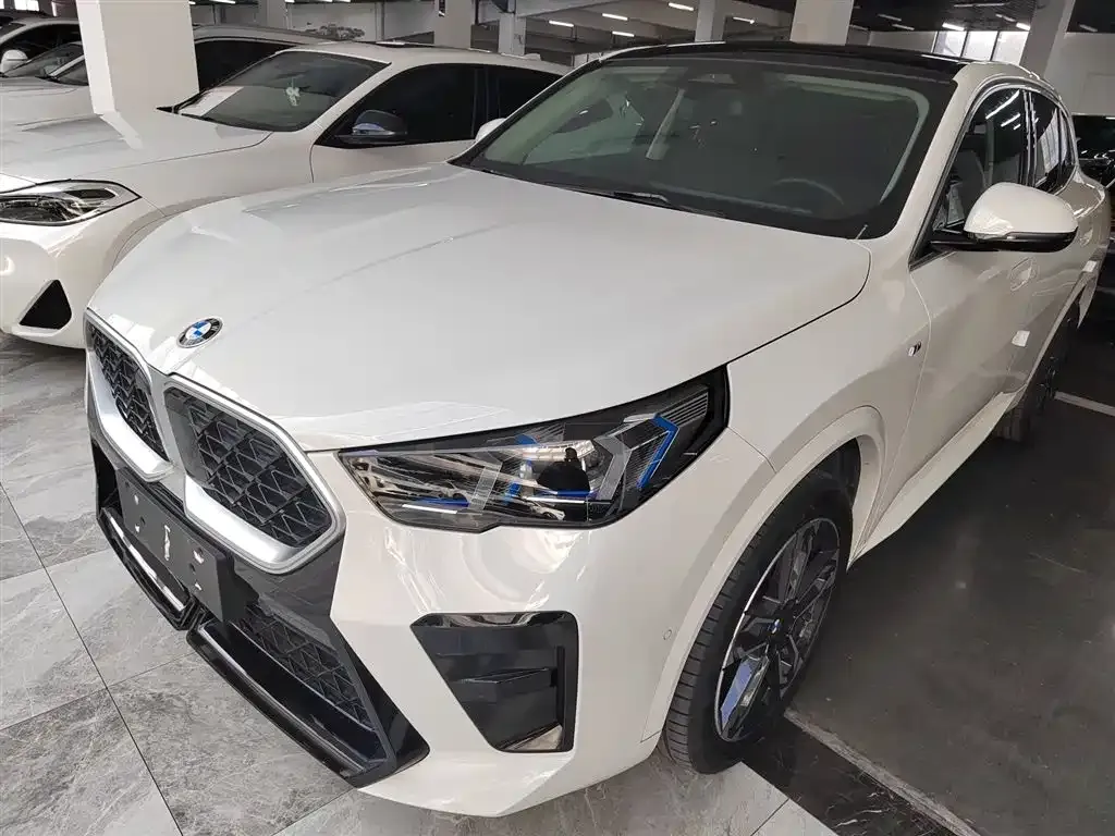 BMW X2 (Import) — фото 1