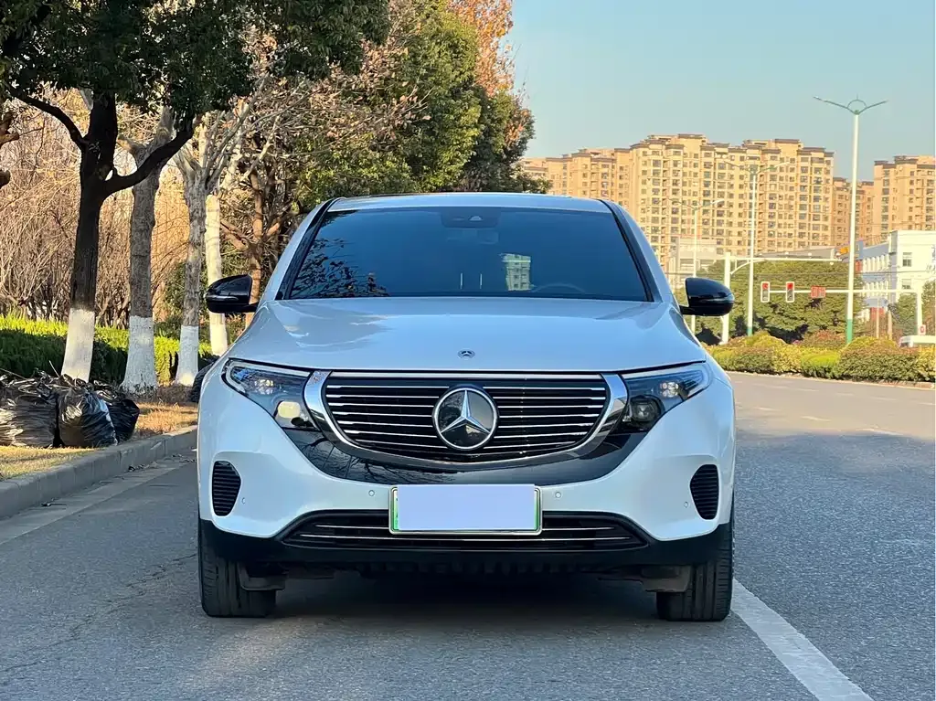Mercedes-Benz EQC — фото 10