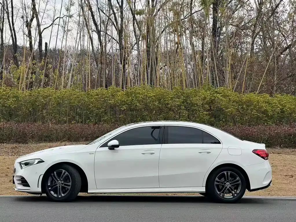 Mercedes-Benz A-Class (Import) — фото 9
