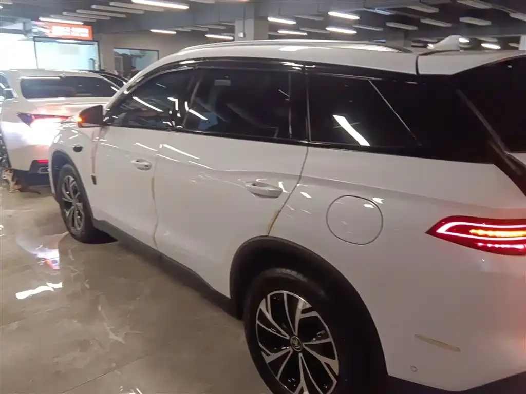 BYD Pro New Energy — фото 10
