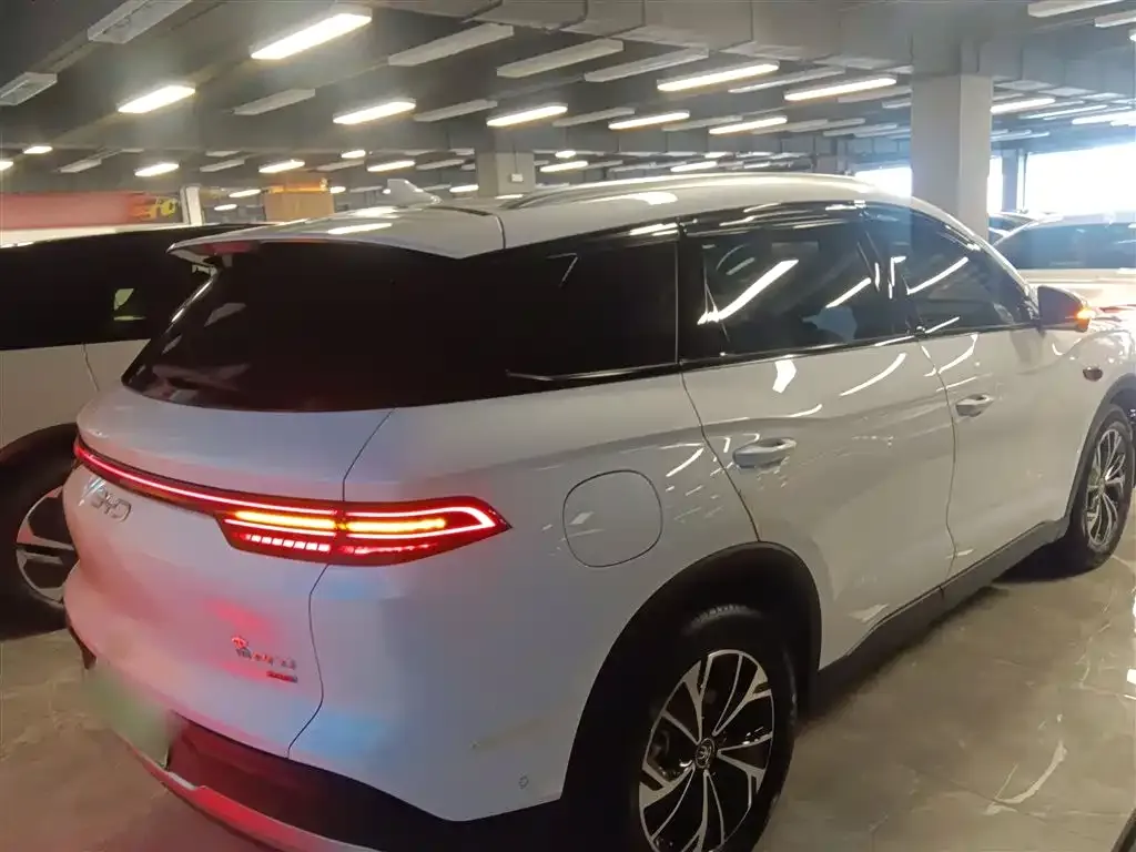 BYD Pro New Energy — фото 4
