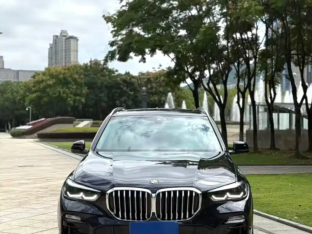 BMW X5 (Import) — фото 8