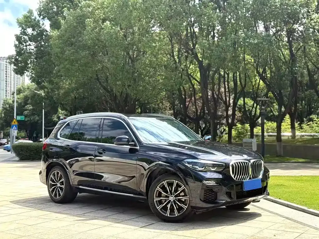 BMW X5 (Import) — фото 9