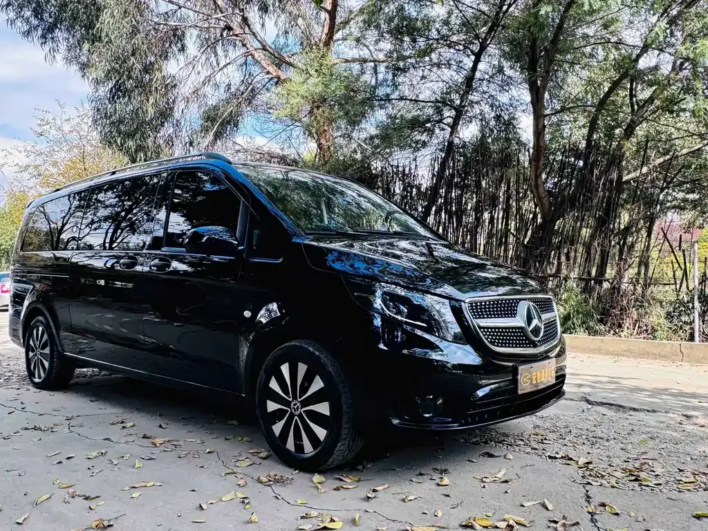 Mercedes-Benz Vito — фото 6