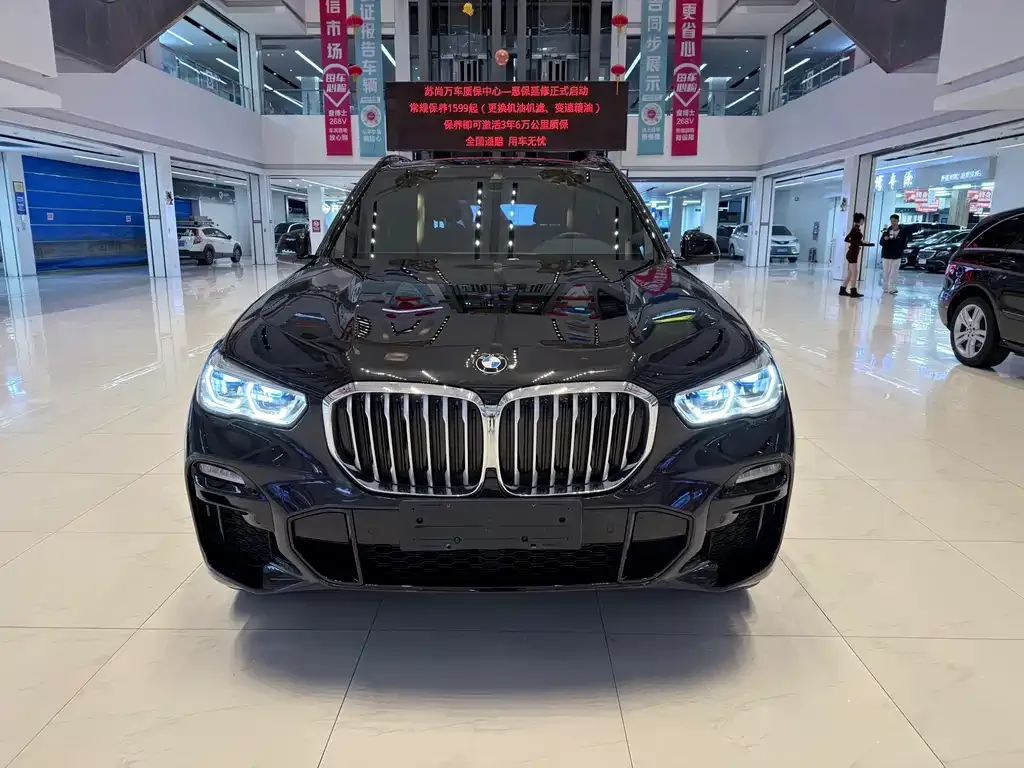 BMW X5 New Energy (Import) — фото 9
