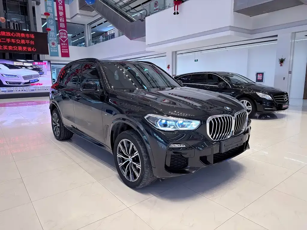 BMW X5 New Energy (Import) — фото 2