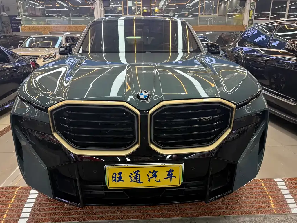 BMW XM — фото 5