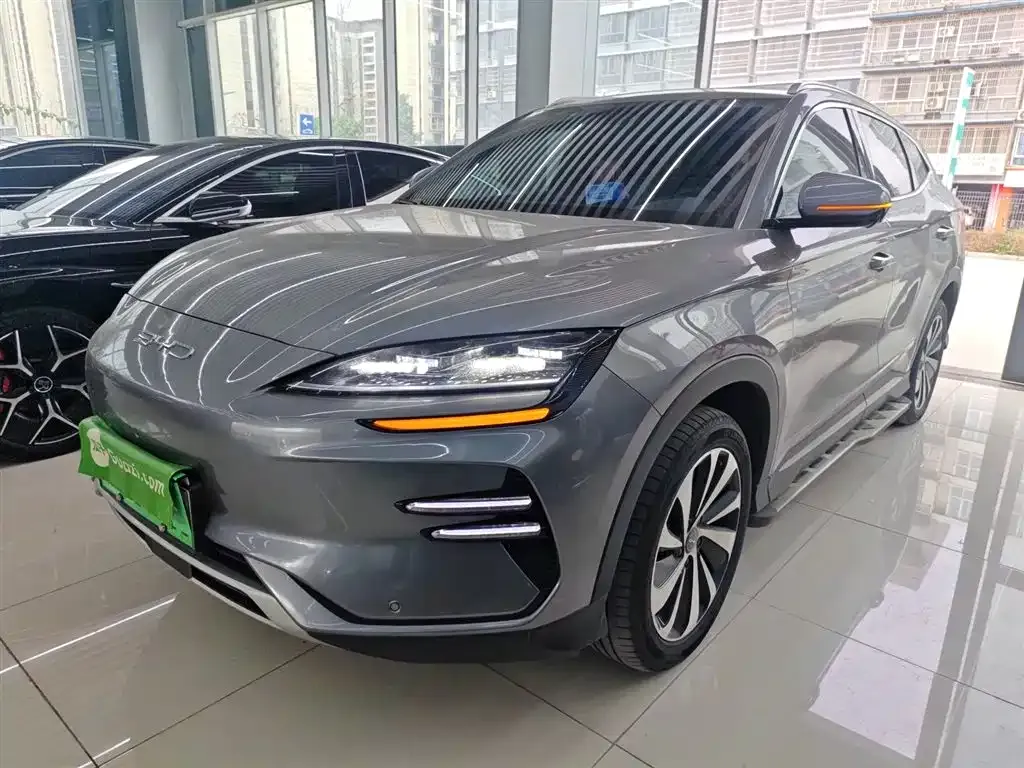 BYD PLUS New Energy — фото 1