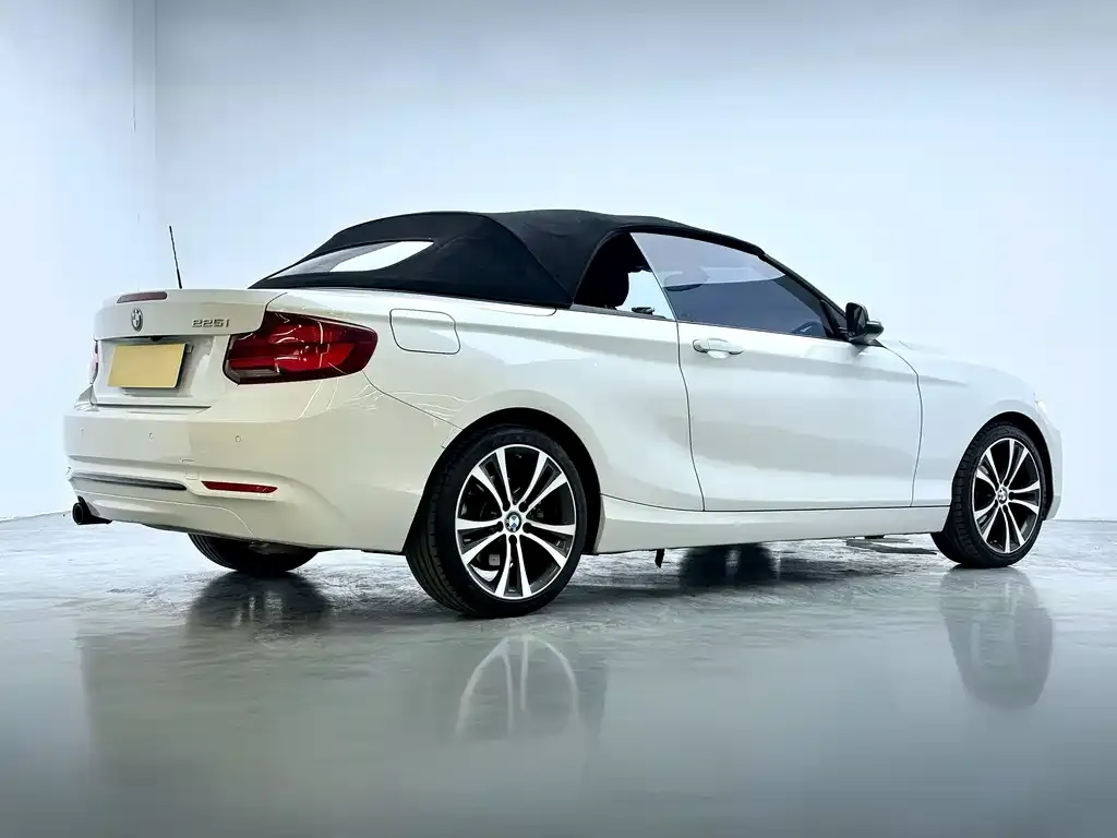 BMW 2 Series (Import) — фото 8