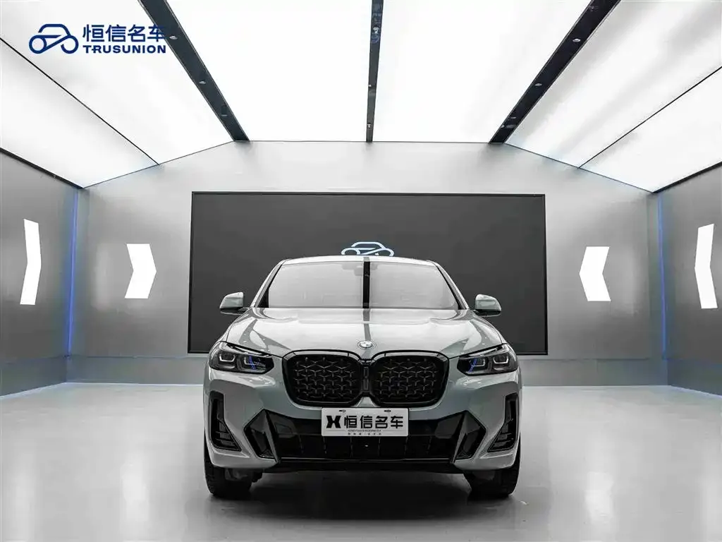 BMW X4 — фото 9