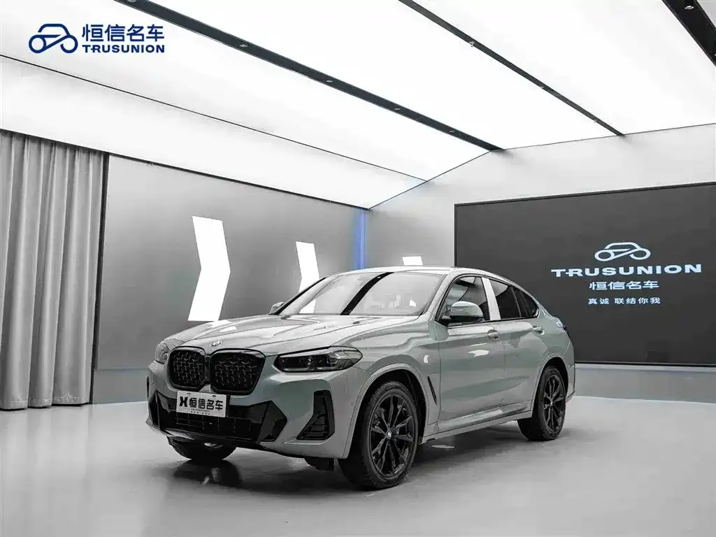 BMW X4 — фото 10