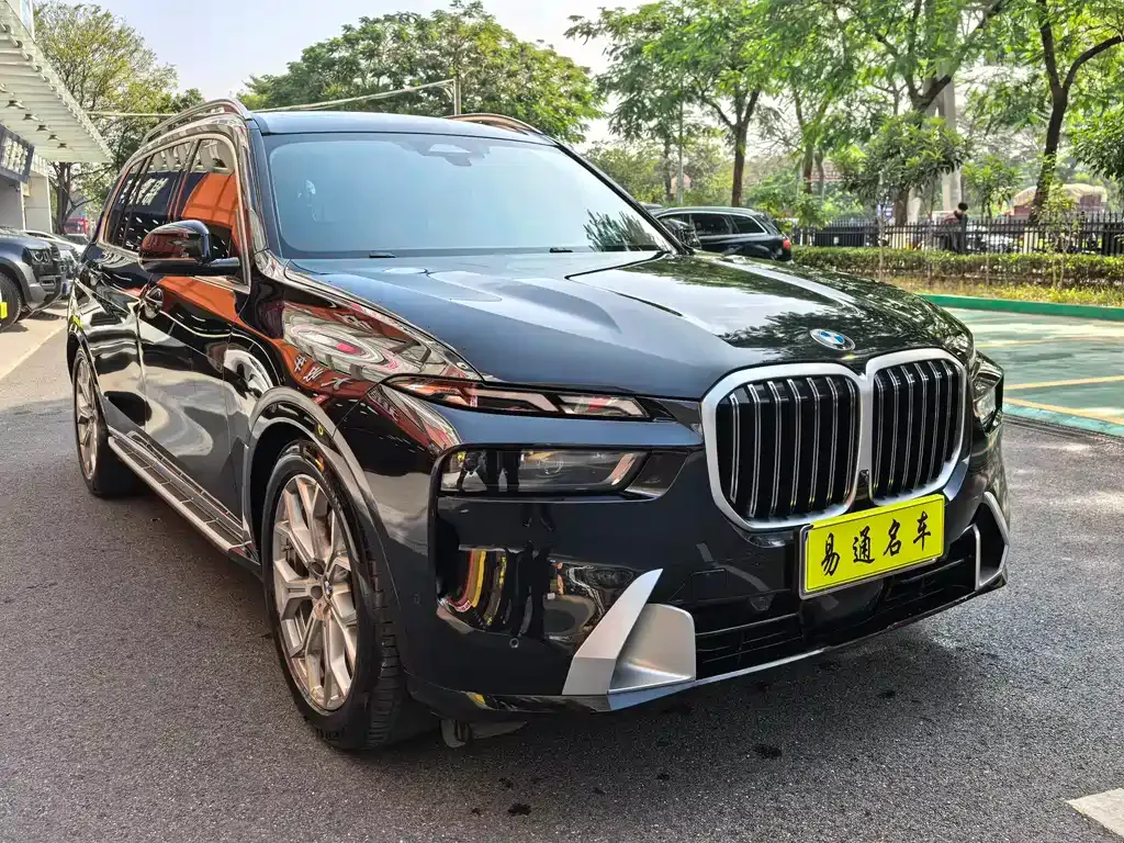 BMW X7 — фото 9