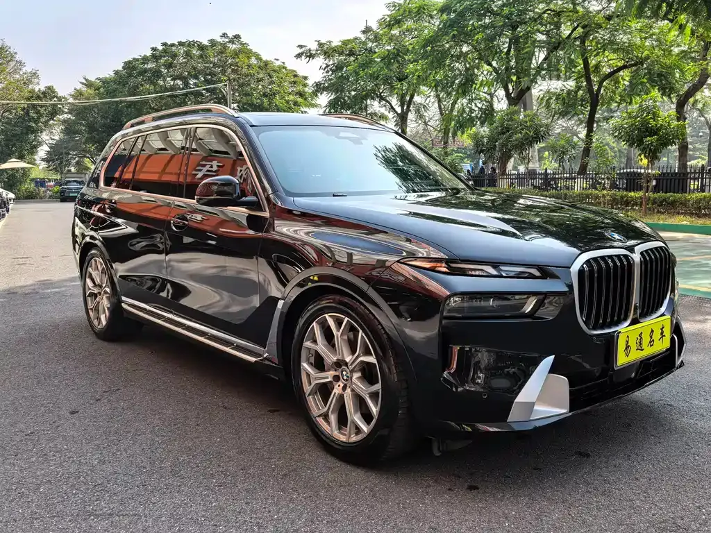BMW X7 — фото 4