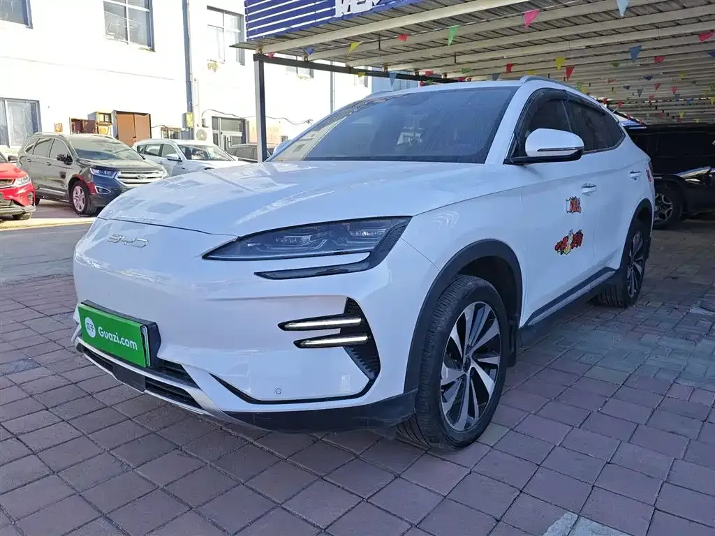 BYD PLUS New Energy — фото 1