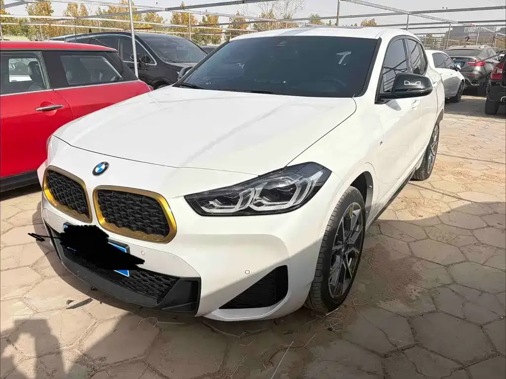 BMW X2 — фото 1