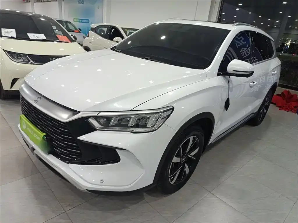 BYD Pro New Energy — фото 1