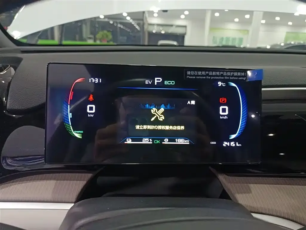 BYD Pro New Energy — фото 2
