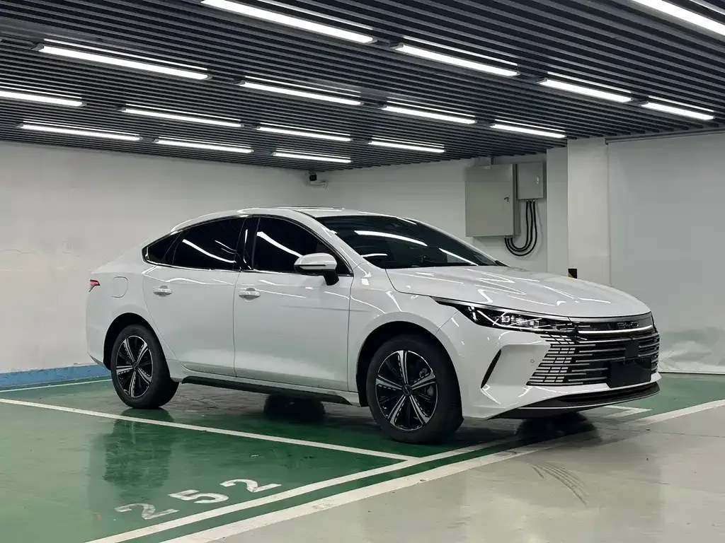 BYD Destroyer 05 — фото 10