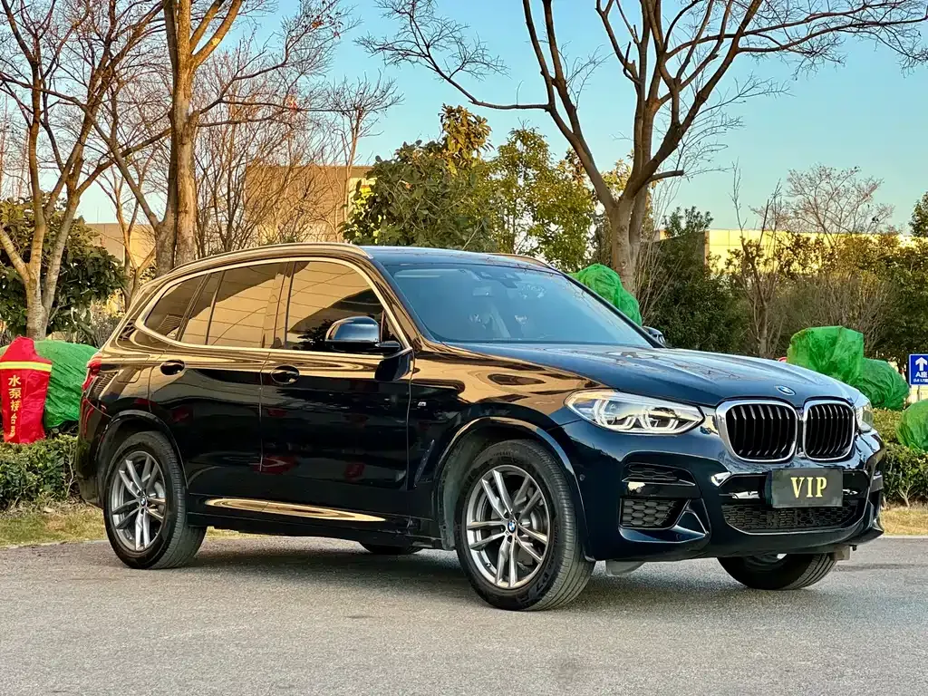 BMW X3 — фото 8