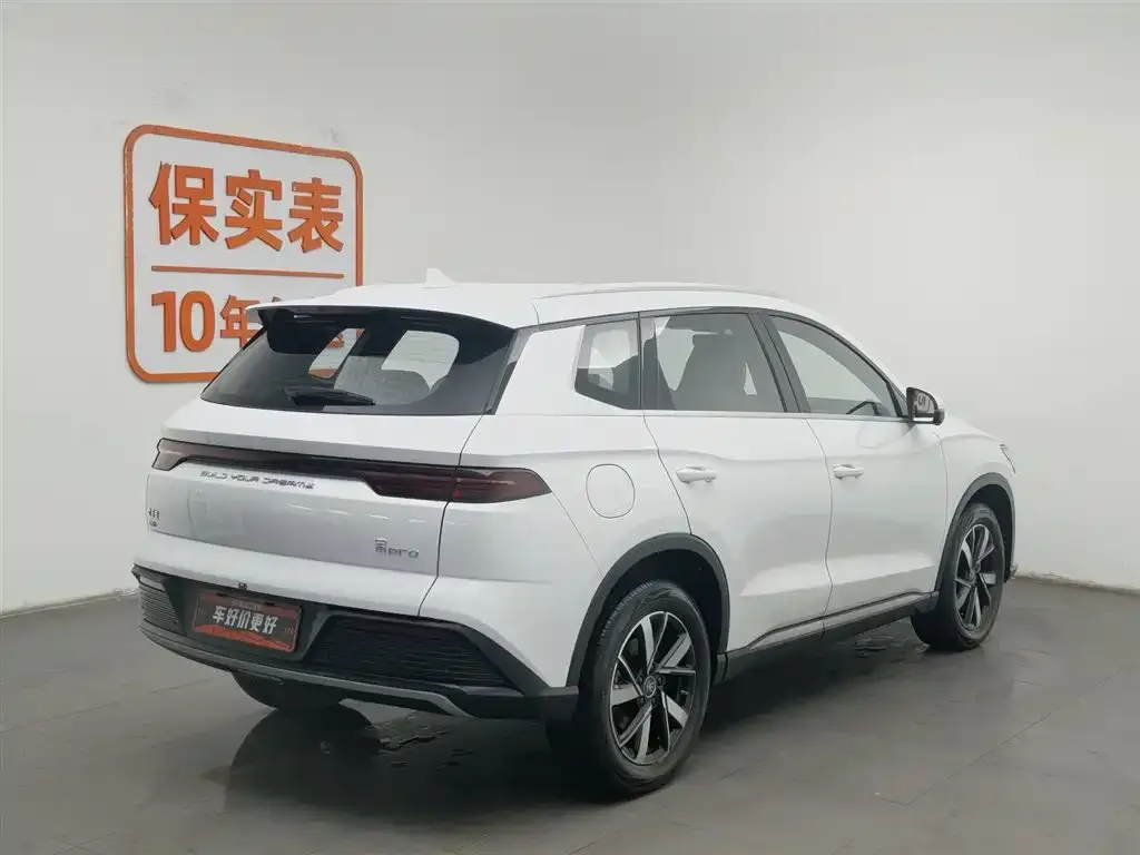 BYD Pro New Energy — фото 2