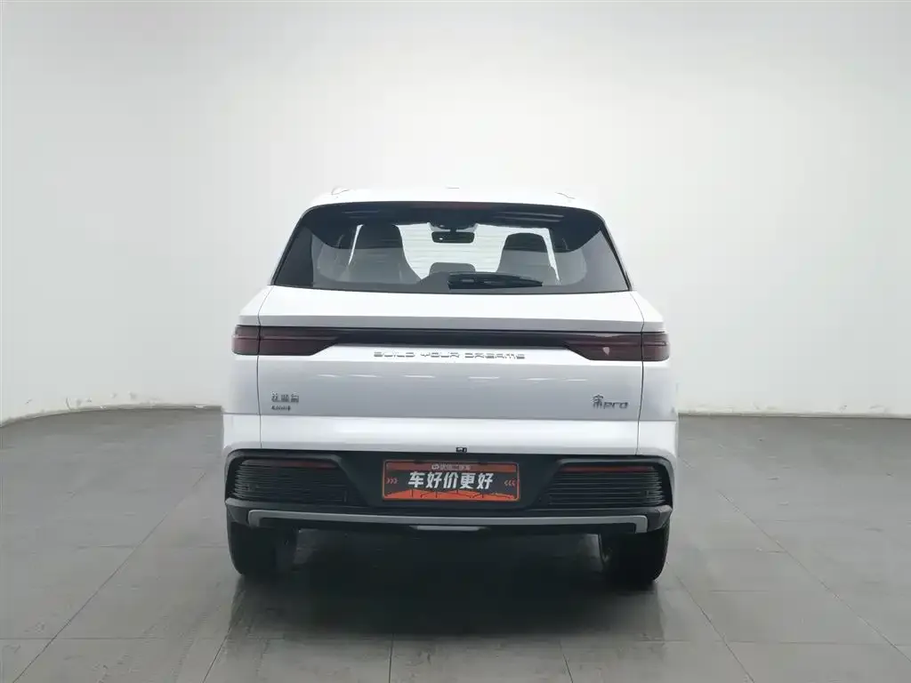 BYD Pro New Energy — фото 3