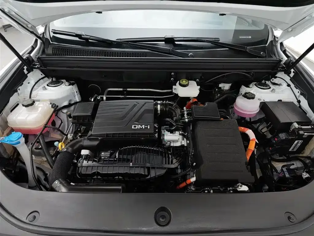 BYD Pro New Energy — фото 7
