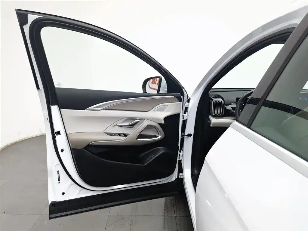 BYD Pro New Energy — фото 8