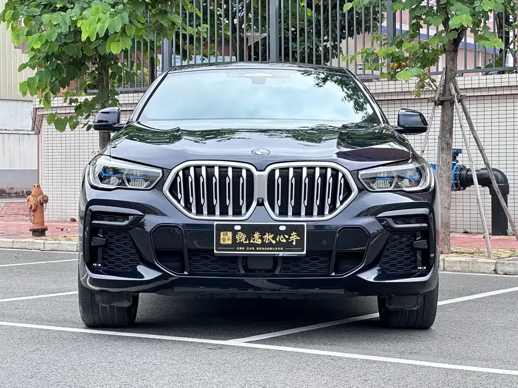 BMW X6 — фото 2