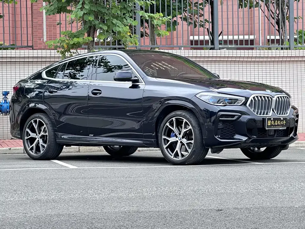 BMW X6 — фото 9