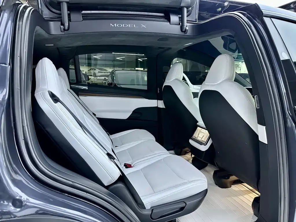 Tesla Model X — фото 2